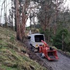 The Advantages of Forestry Mulching